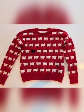 Warm & Wonderful & Rowing Blazers Wool Sweater Small